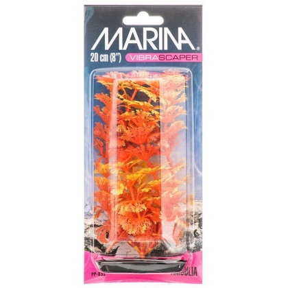 Marina Vibrascraper Ambulia Plant - Orange & Yellow